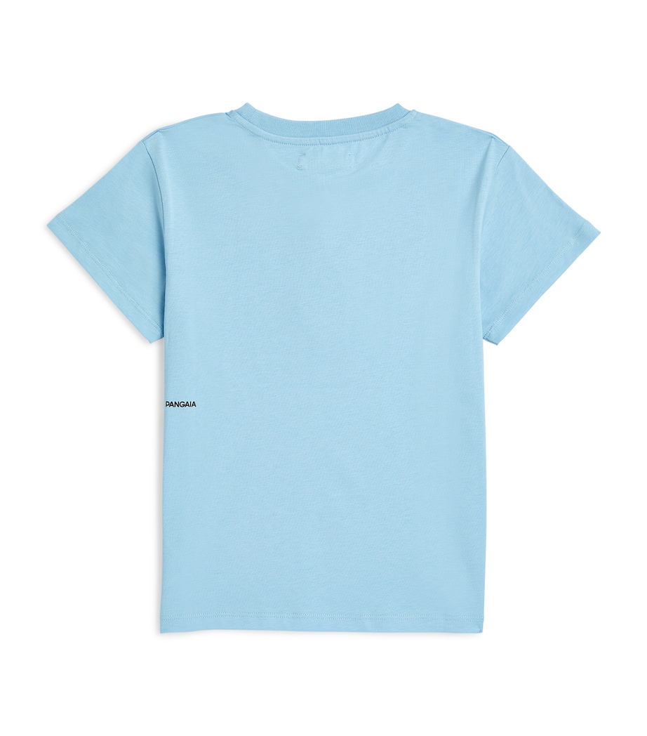 Organic Cotton Pprmint T-Shirt (3-11 Years) CELESTIAL BLUE Image 2