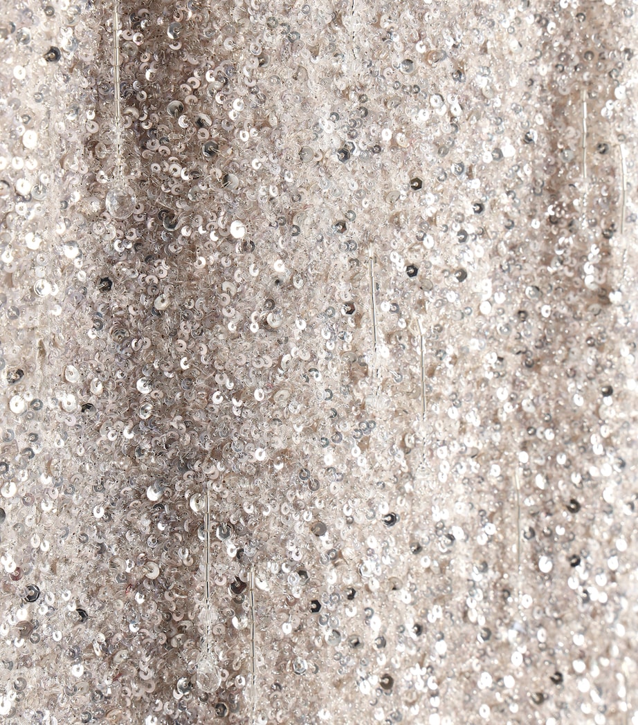 Schiaparelli Womens Silk Sequinned Gown Silver Image 7
