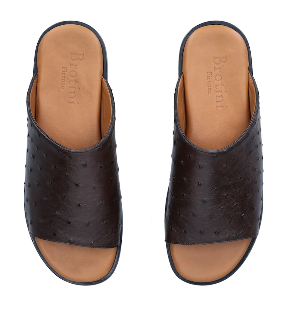 Ostrich Sandals DARK BROWN Image 4