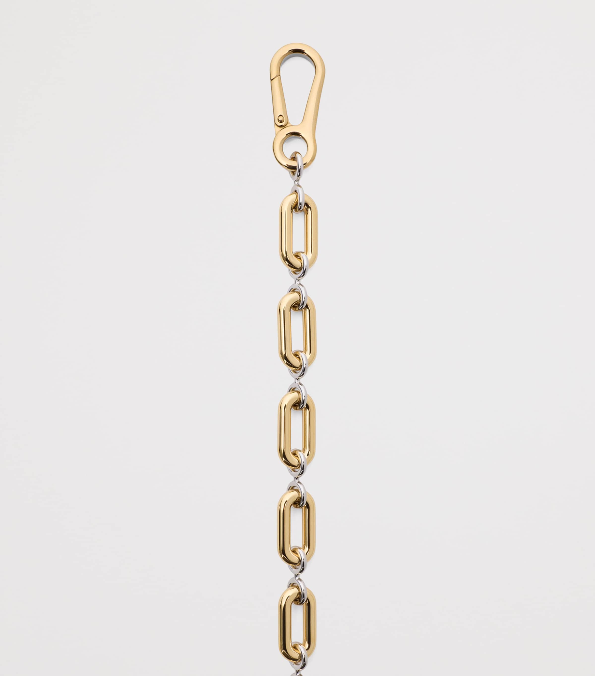 LOEWE Donut Chain Bag Strap (22cm) Gold/silver Image 2