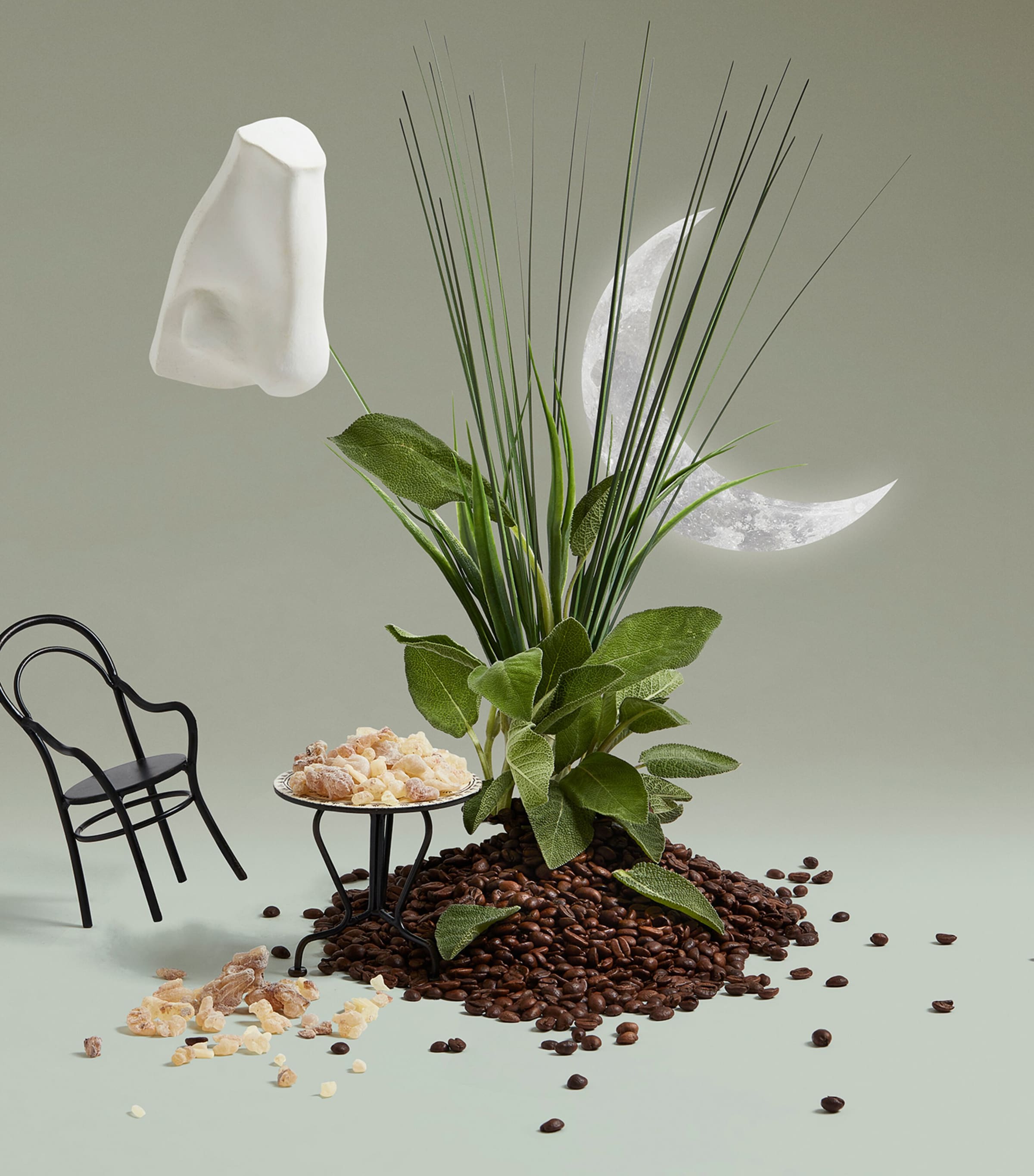 Endymion Eau de Cologne (30ml) NO COLOUR Image 4