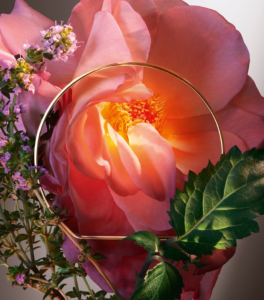 Absolue Hot As Rose Eau de Parfum (100ml) NO COLOUR Image 4