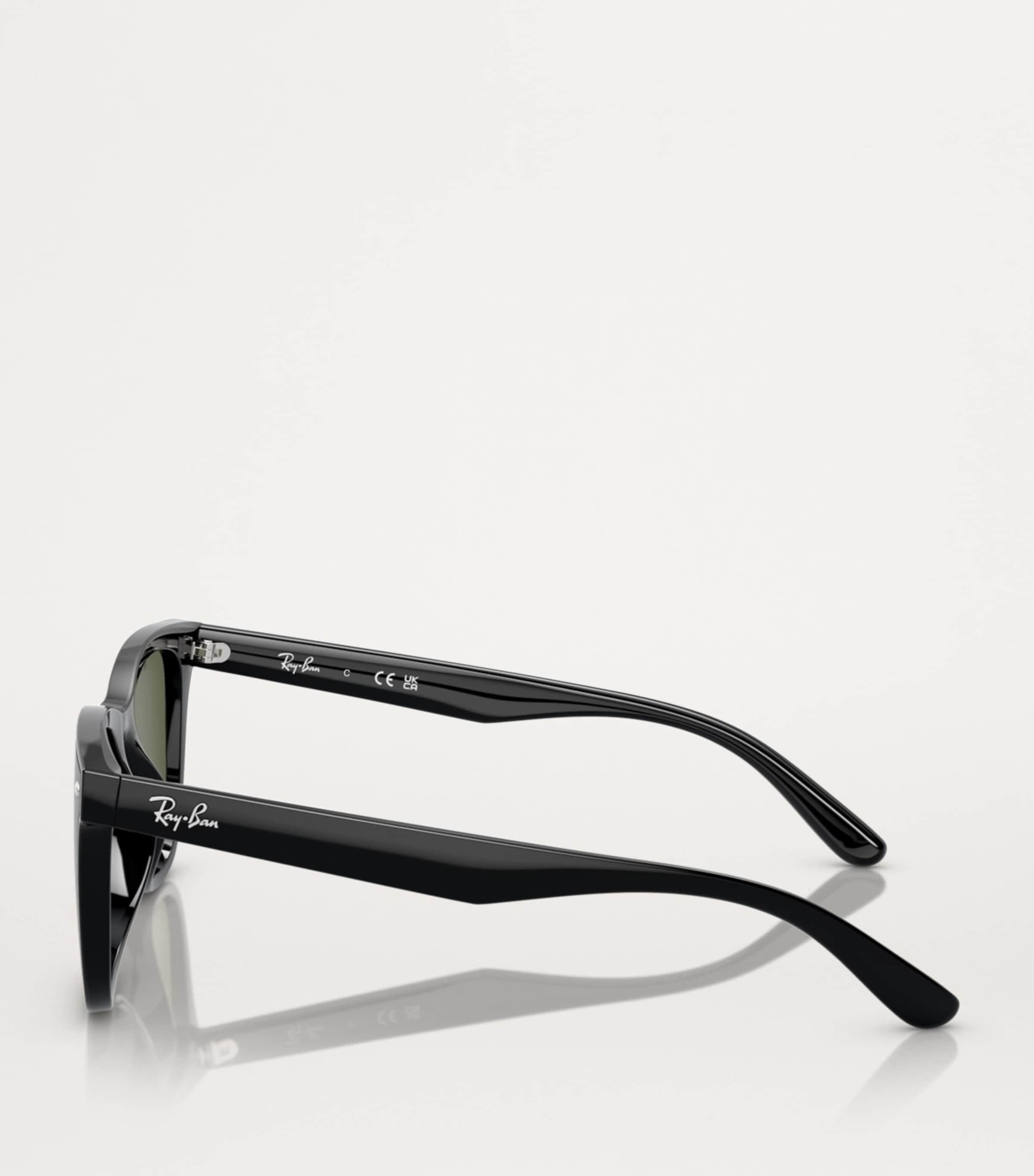 Injected RB4420 Sunglasses 601/9A Image 3