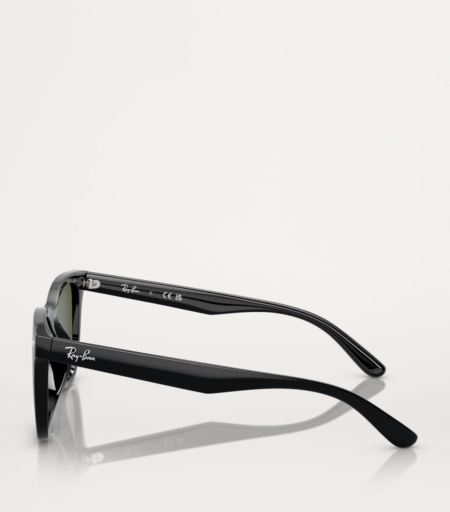 Injected RB4420 Sunglasses 601/9A Image 3