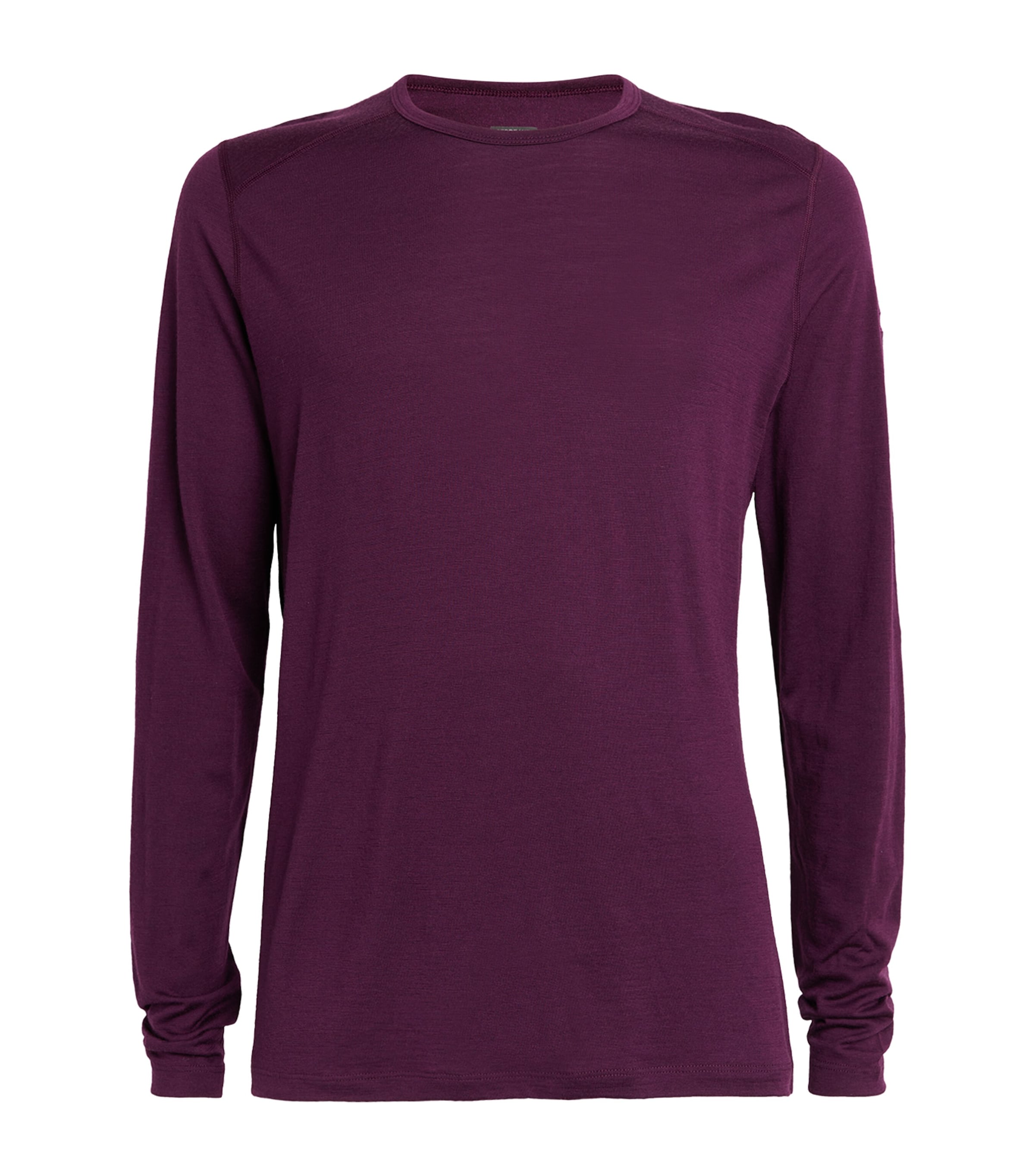 Icebreaker Merino 200 Oasis Base Layer Top In Purple