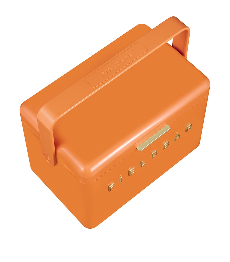 Mini Bar Cooler Box with Leather Sling (4L) ORANGE Image 4