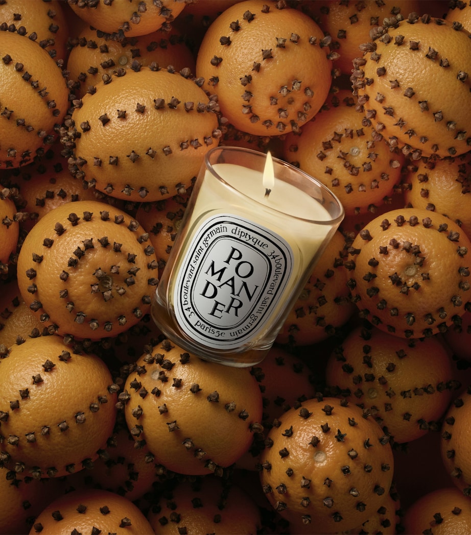 Diptyque Pomander Candle (190g) Image 3
