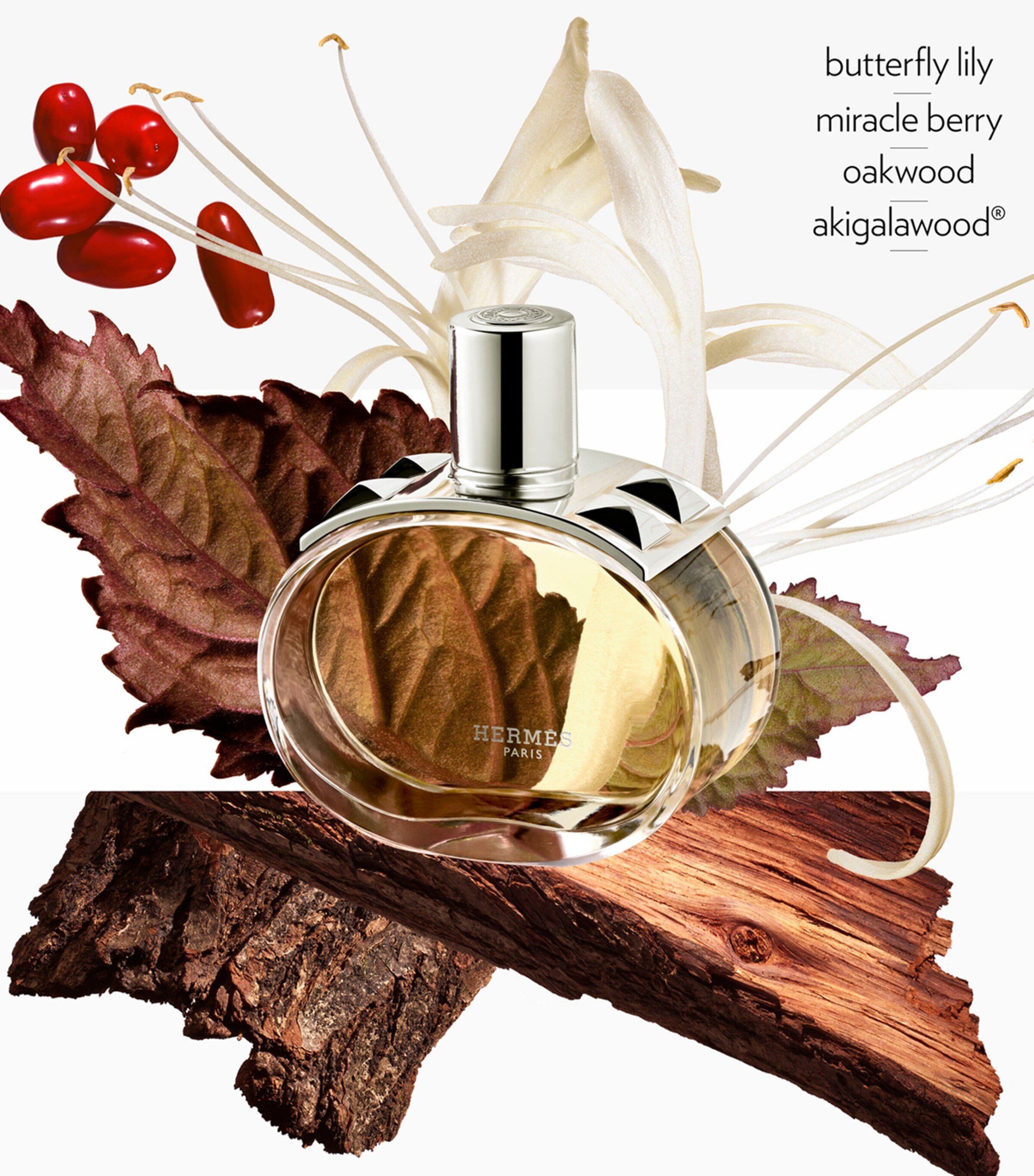 HERMÈS Barénia Eau de Parfum (100ml) Image 3