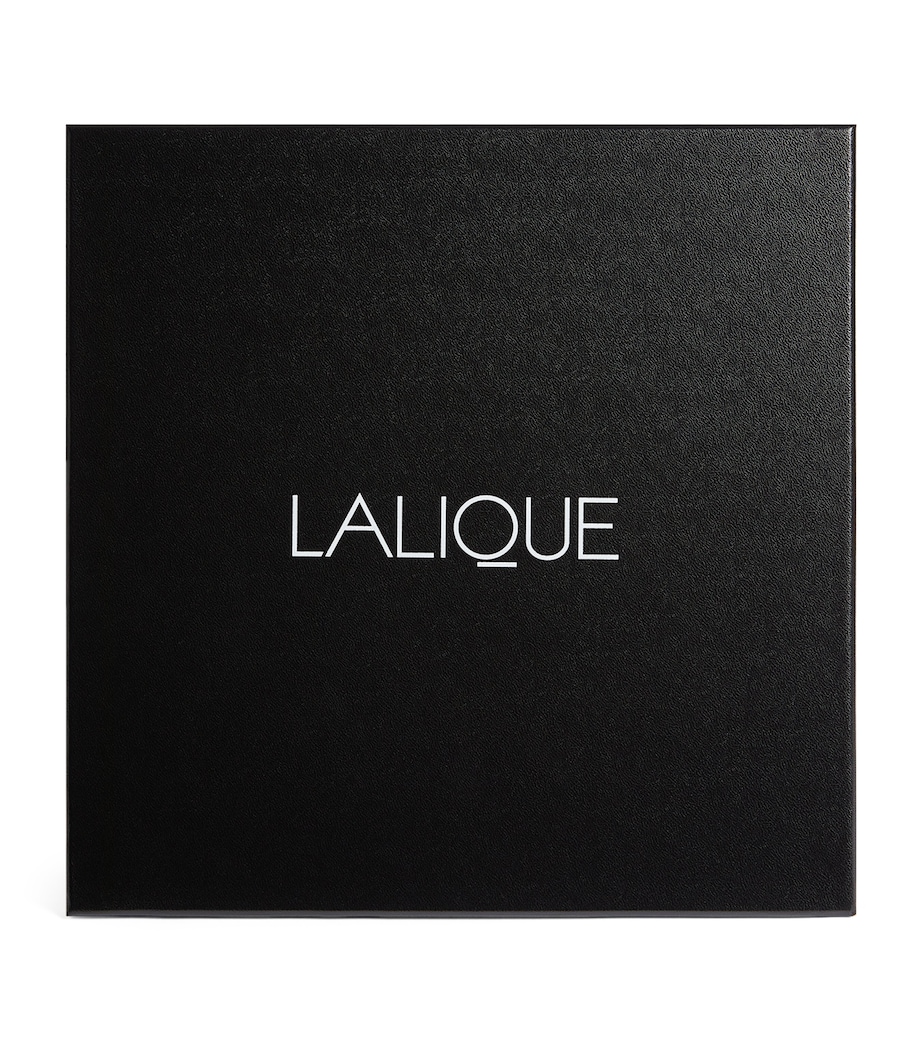 Crystal Merlot Decanter INCOLORE Image 2