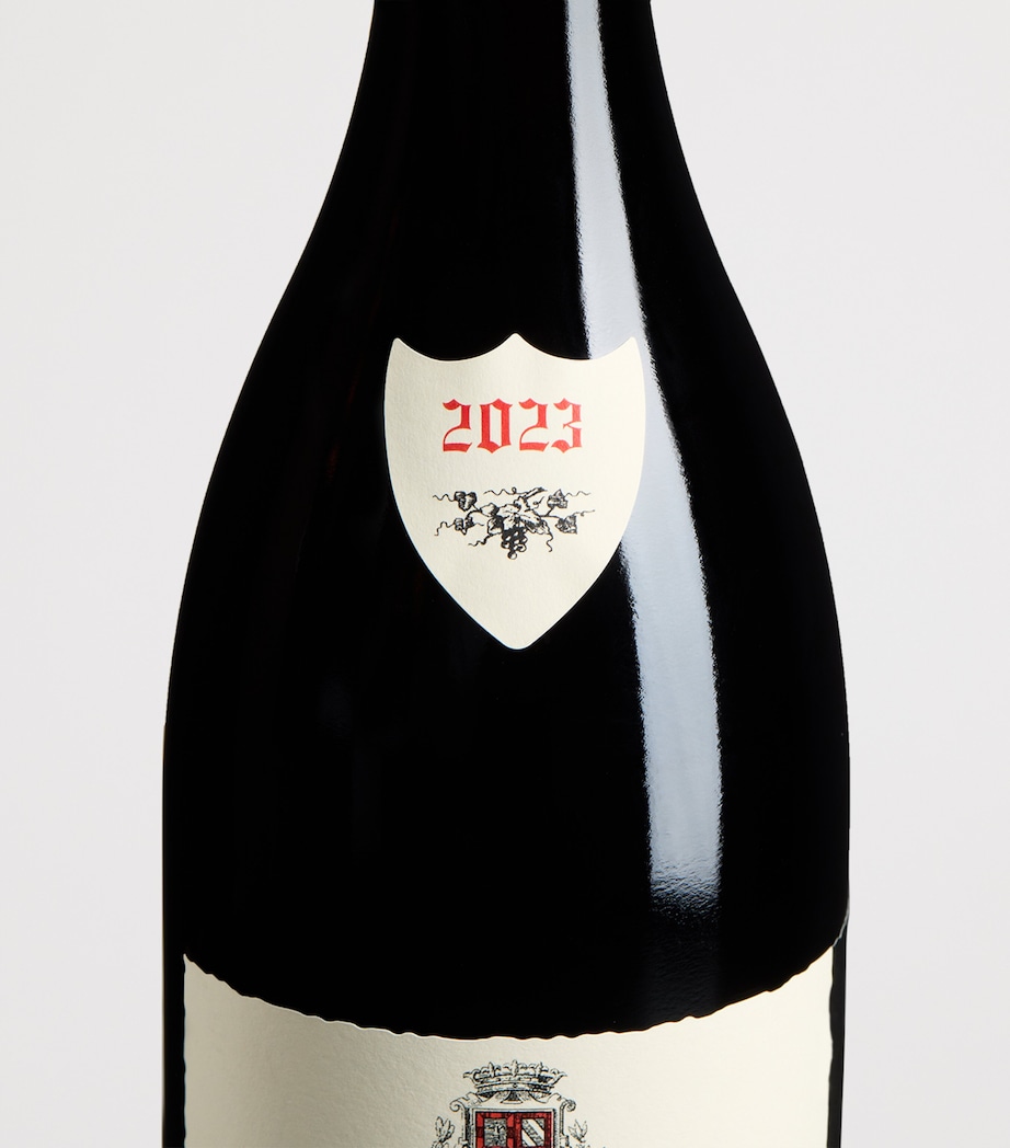 Domaine Fourrier Jean-Marie Fourrier Gevrey-Chambertin Vieilles Vignes 2023 (75cl) - Burgundy, France Image 2