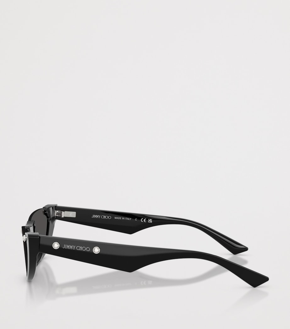 Oval Sunglasses 500087 Image 3