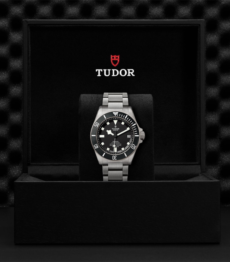 TUDOR Pelagos Titanium Watch 42mm Black Image 6