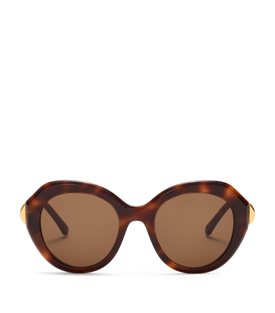 LOEWE Coil Butterfly Sunglasses Havana Image 1