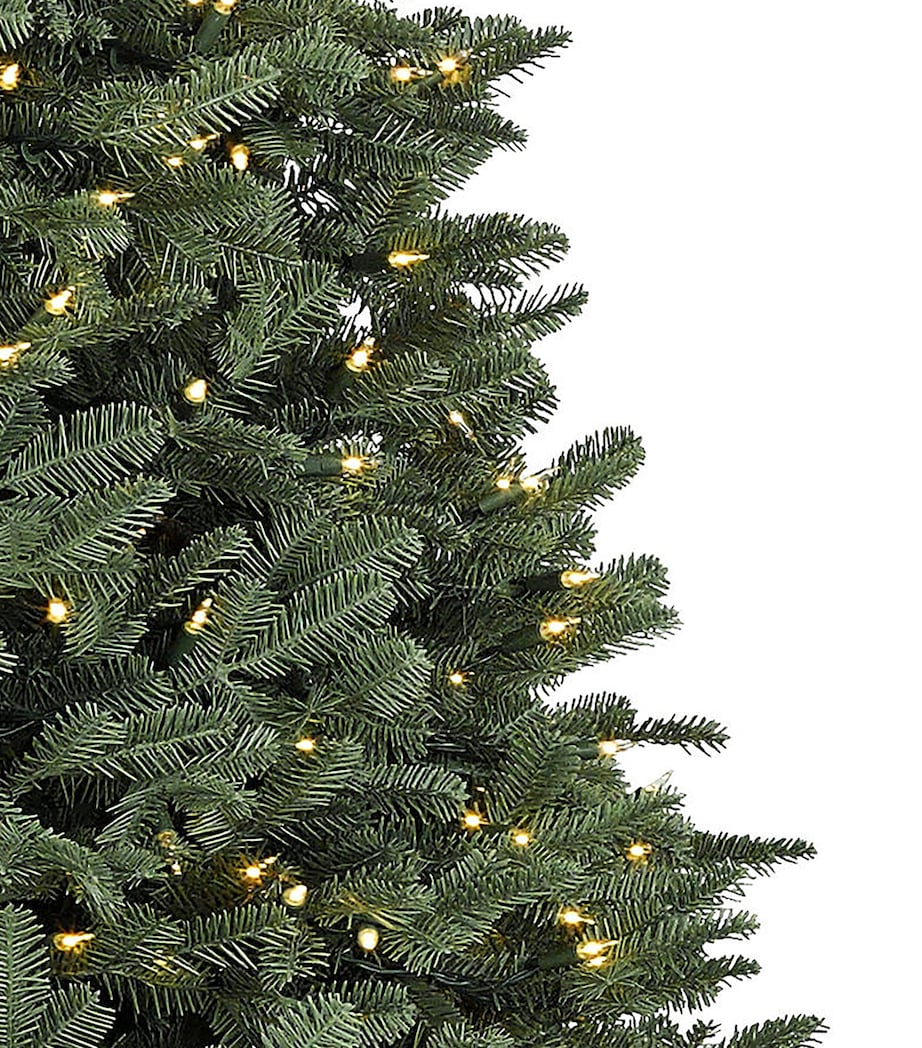 BH Balsam Fir Tree (6ft) GREEN Image 2