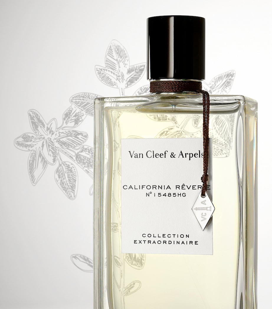 California Rêverie Eau de Parfum (75ml) NO COLOUR Image 4