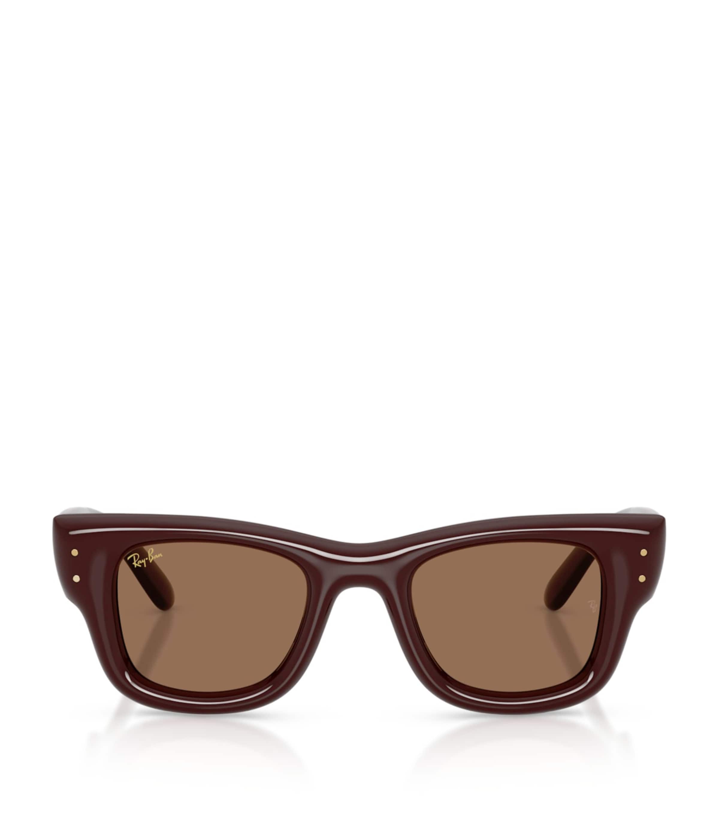 Ray-Ban Wayfarer Puffer Sunglasses Brown Image 1