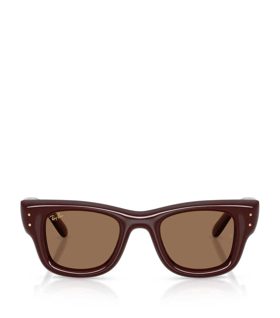 Ray-Ban Wayfarer Puffer Sunglasses Brown Image 1