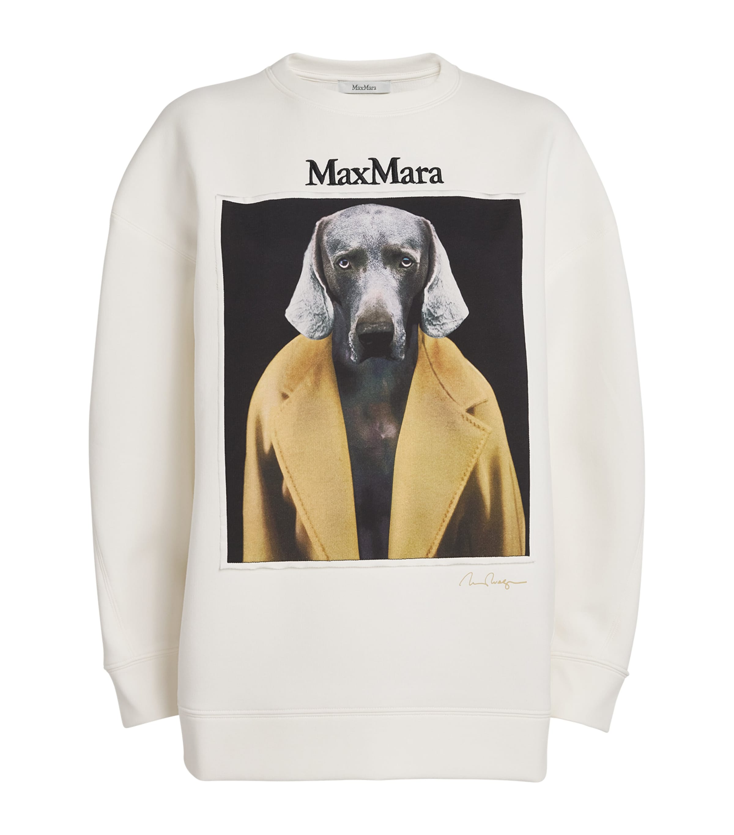 Shop Max Mara Cotton Wegman Dog Sweatshirt In White