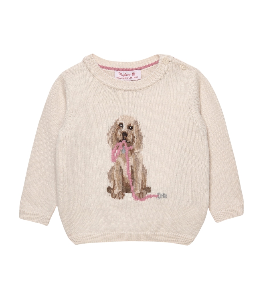 Puppy Sweater (3-24 Months) WINTER WHITE Image 1