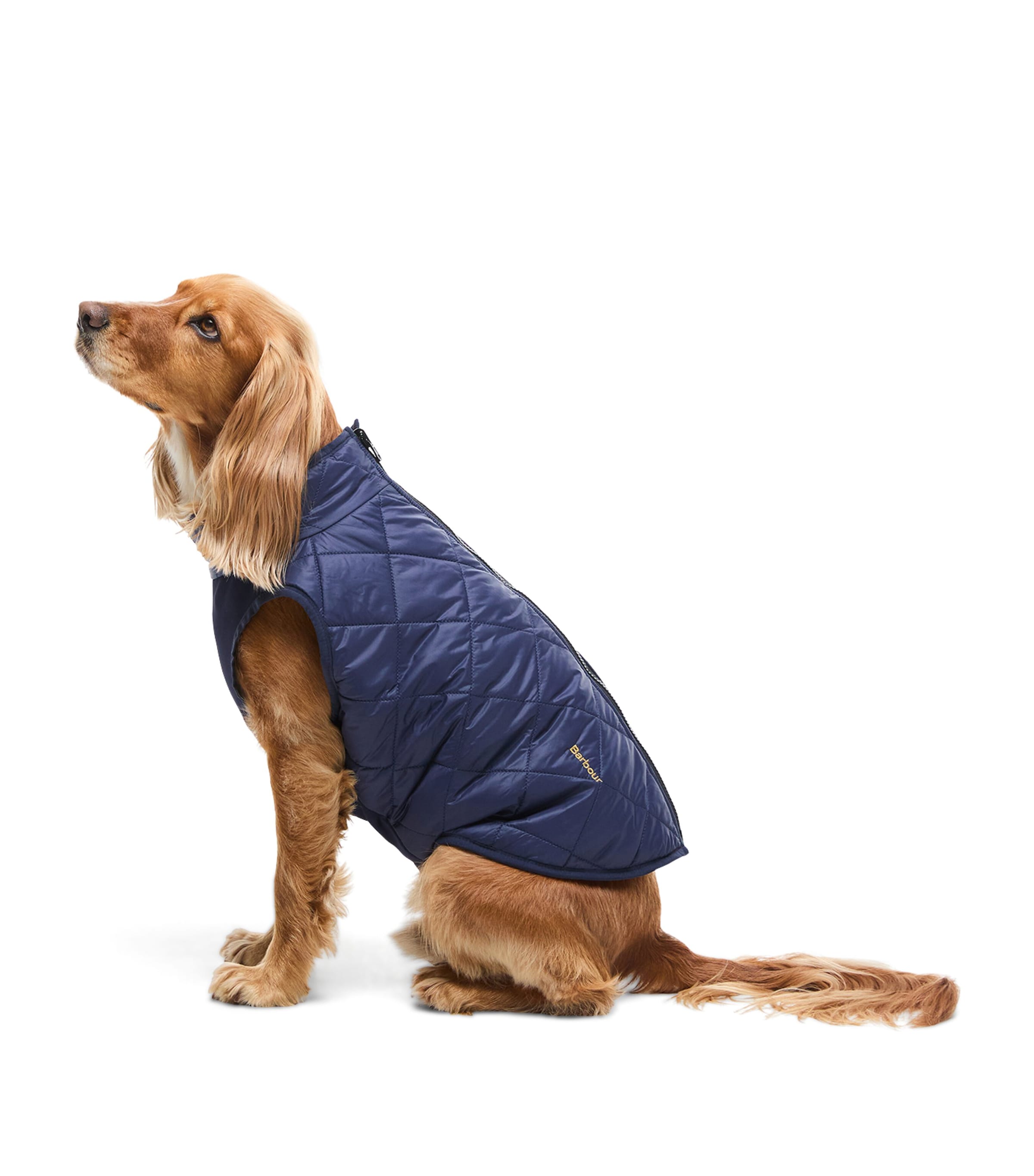 Barbour Reversible Zipped Dog Coat (XS - XXL) Classic/navy Image 4