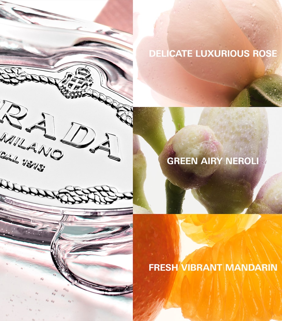 Infusion de Rose Eau de Parfum (100ml) NO COLOUR Image 3