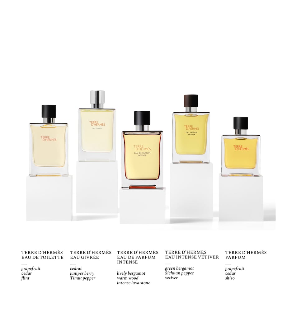 Terre d'Hermès Parfum (125ml) - Refill NO COLOUR Image 3