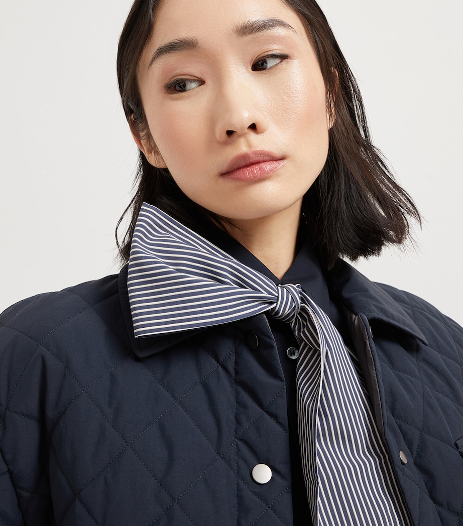 Techno Cotton Poplin Stripe Monili-Trim Foulard C1680 Image 2