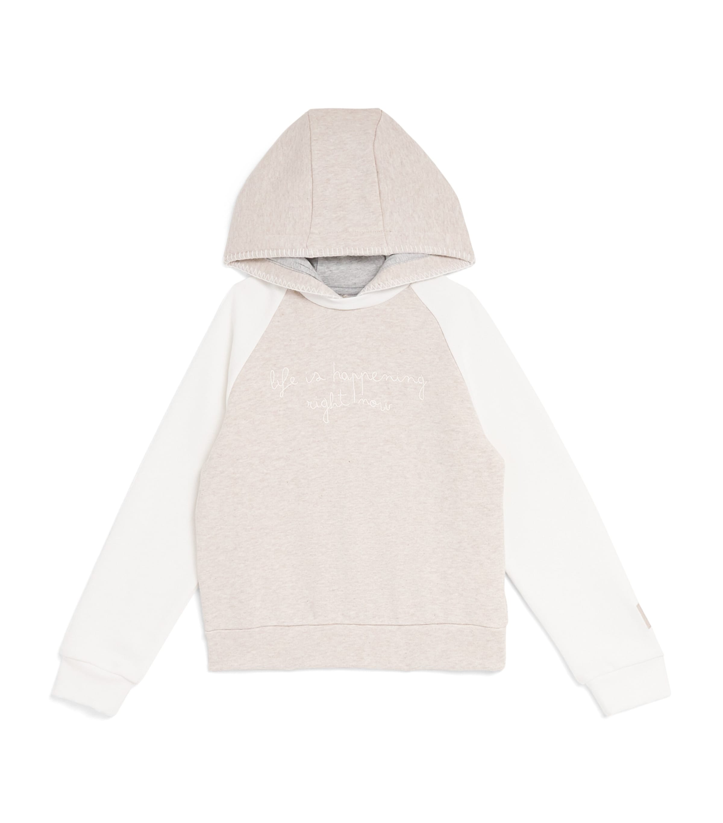 Eleventy Kids' Cotton Embroidered Hoodie In Brown