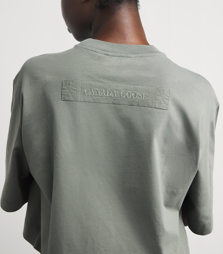 Cotton Addison Crop Top SAGEBRUSH Image 6