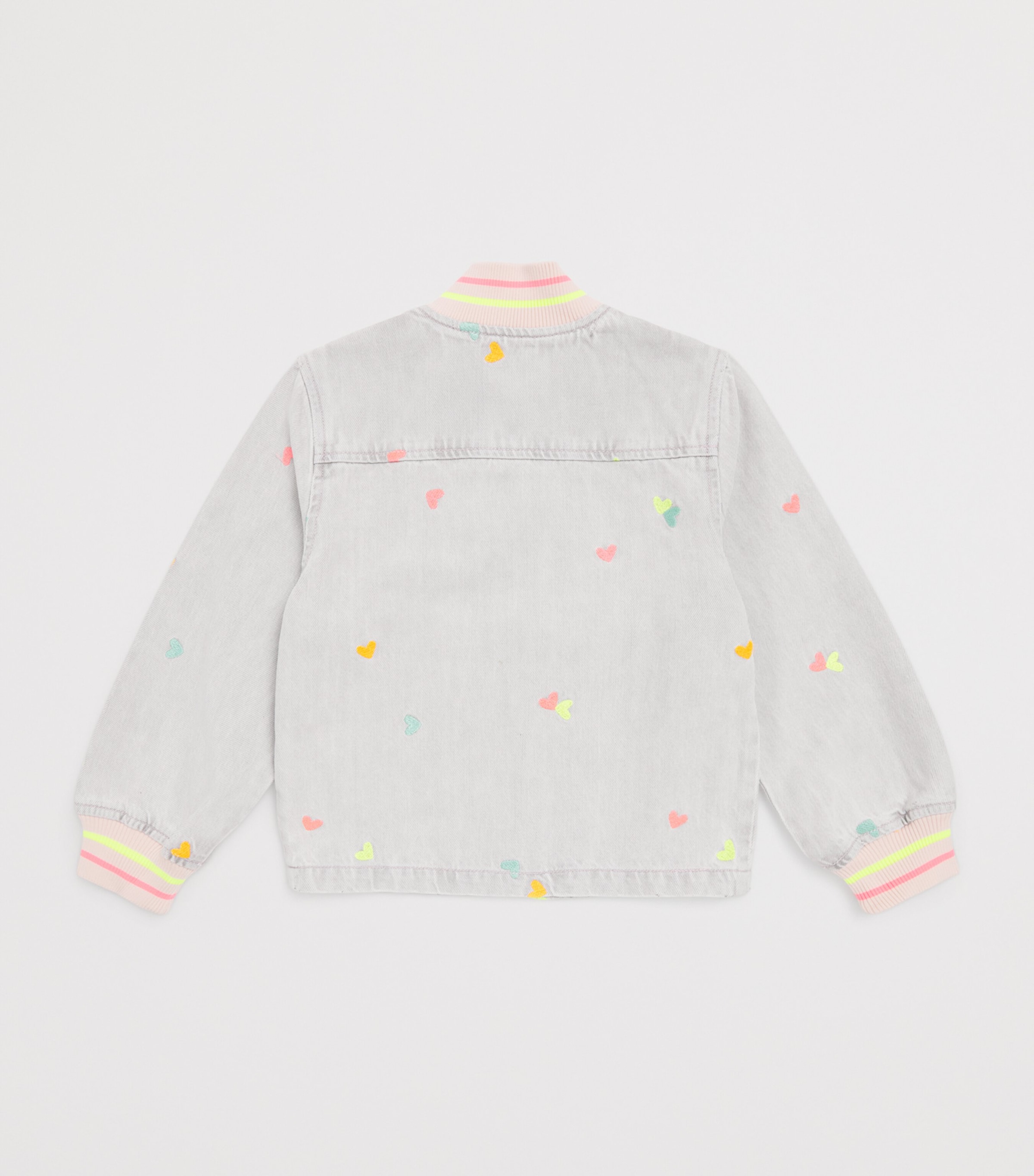 Denim Embroidered Jacket (2-10 Years) Z20DENIM GREY Image 2