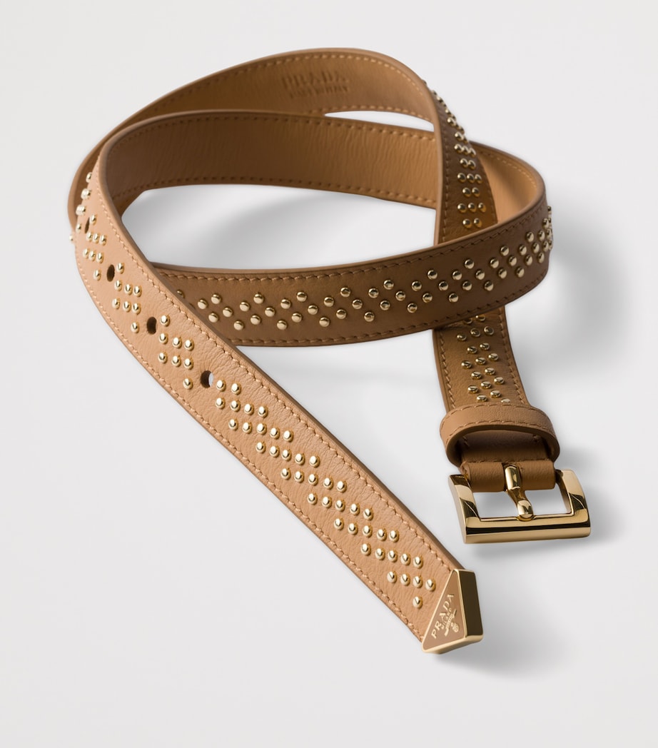 Leather Studded Belt F0018 Image 2