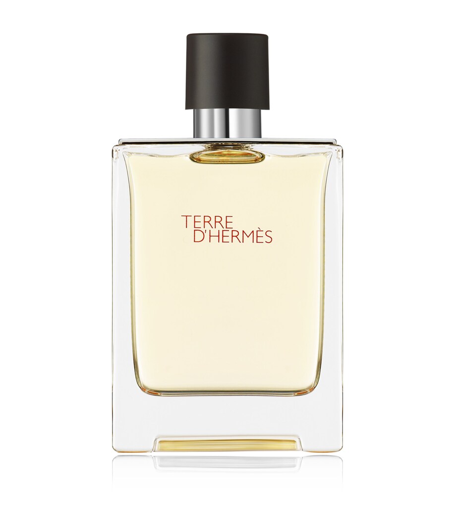 Terre d'Hermès Eau de Toilette (100ml) NO COLOUR Image 5