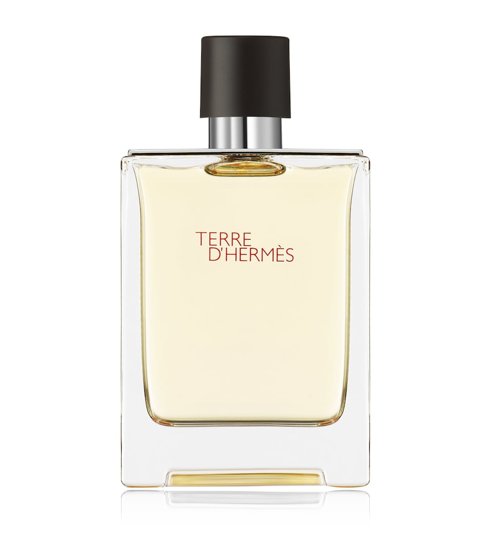 HERMÈS Terre d'Hermès Eau de Toilette (100ml)
