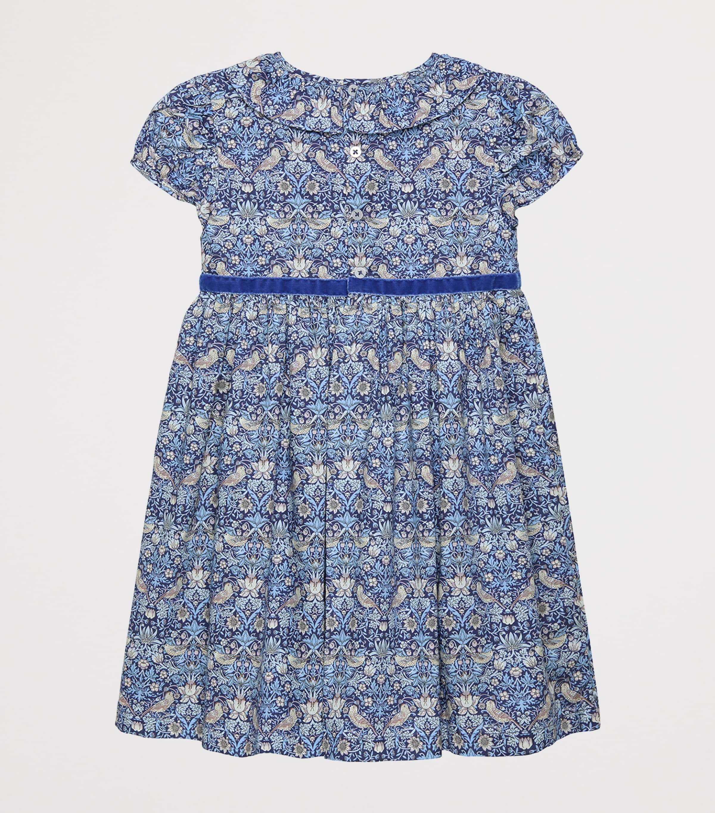 Cotton Liberty Print Dress (2-5 Years) BLUE/ STRAWBERRY THI Image 2