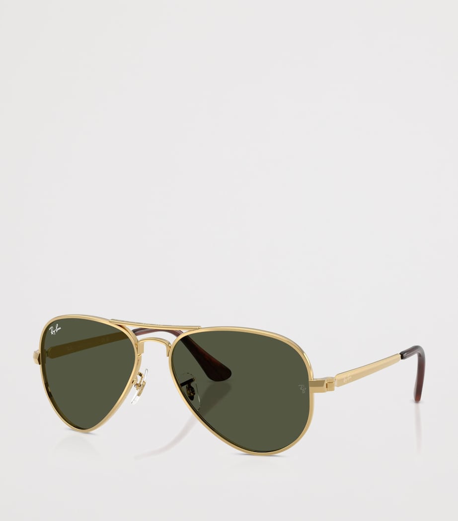 RB3925 Metal Aviator Max Sunglasses 001/31 Image 2