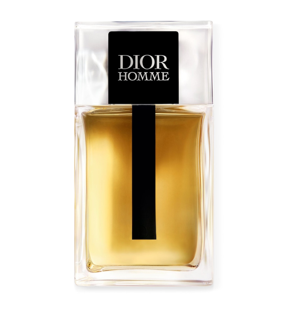 Dior Homme Eau de Toilette (100ml) NO COLOUR Image 1