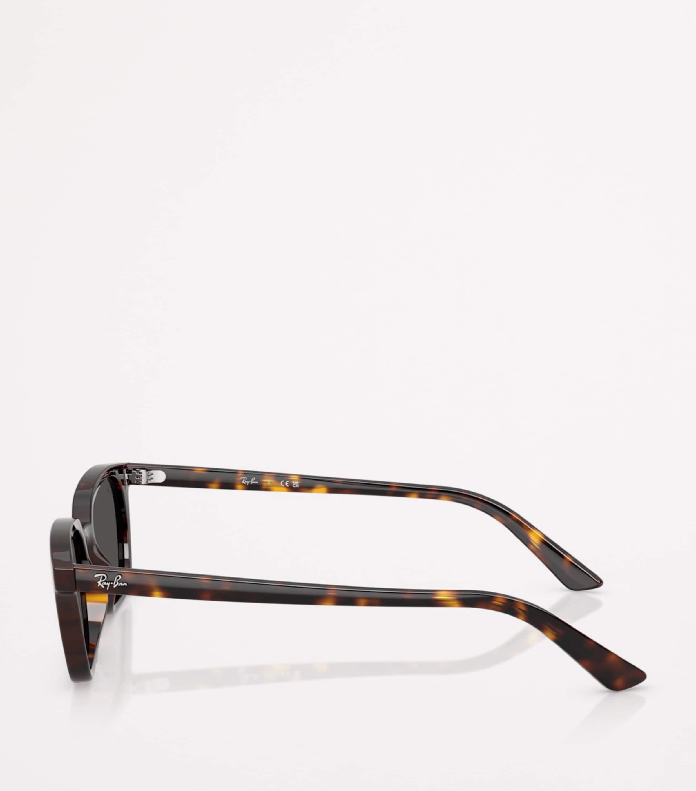 RB4456 Zaya Bio-Based Sunglasses 135987 Image 3