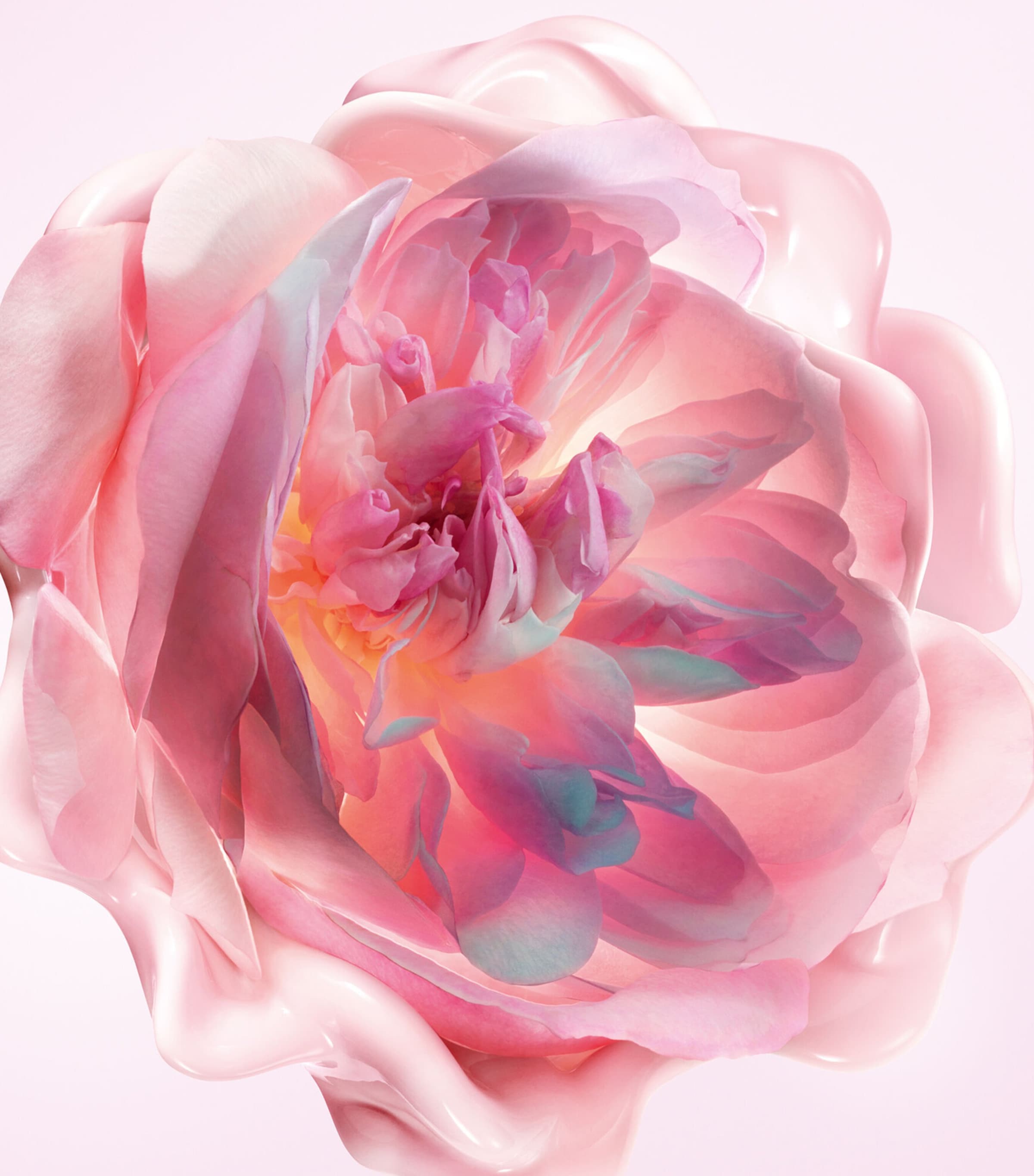 DIOR Miss Dior Melt-In Hand Cream (50ml) Image 2