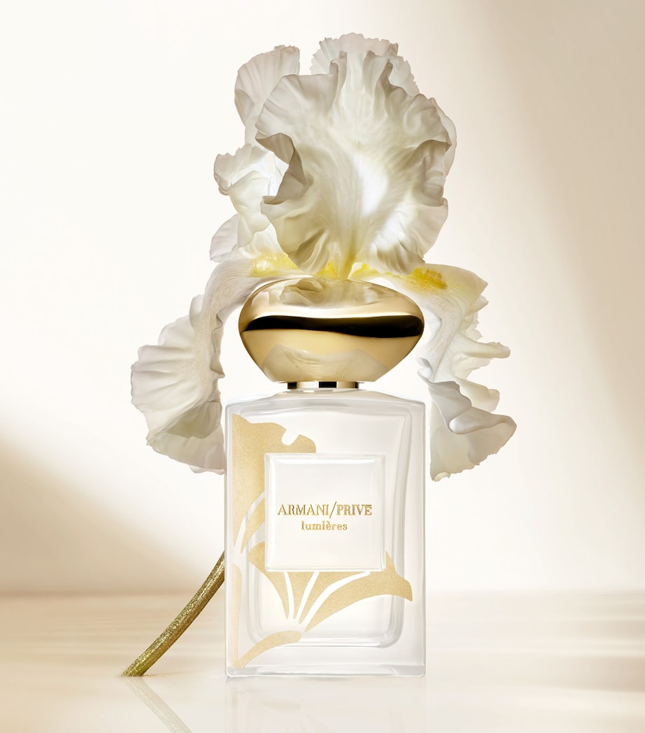 Armani Lumières Eau de Parfum (100ml) Image 3