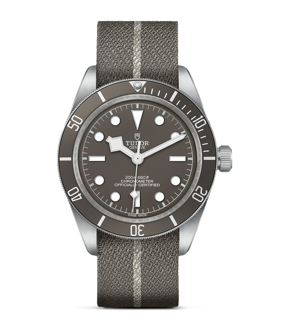 Black Bay Fifty-Eight Silver Watch 39mm GREY Image 1