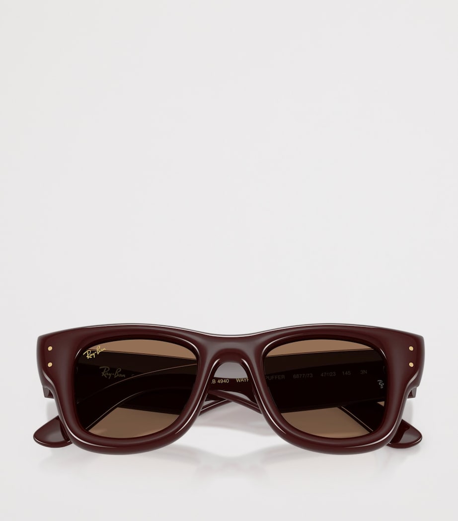 Ray-Ban Wayfarer Puffer Sunglasses Brown Image 5