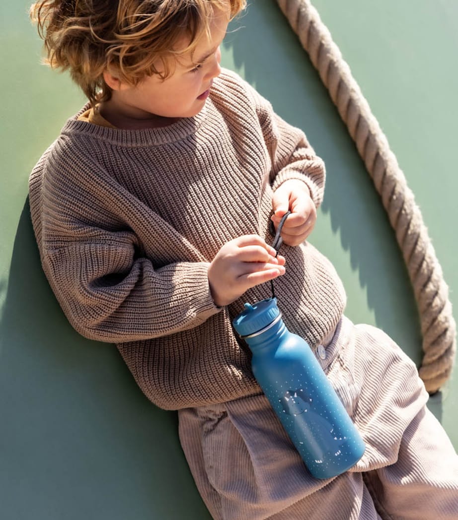 Mr Triceratops Water Bottle (500ml) MULTI Image 4