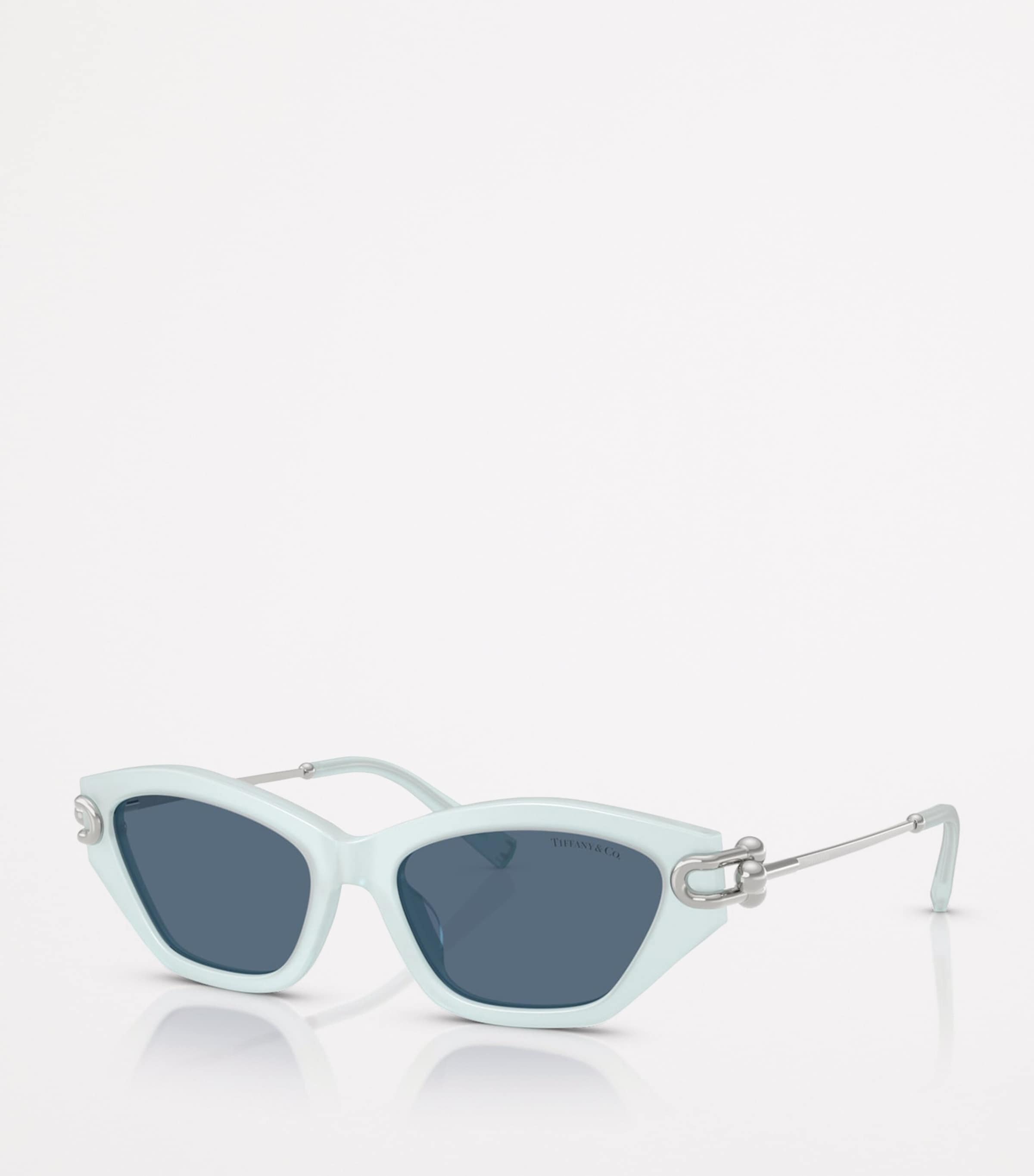 Acetate Cat Eye TF4231U Sunglasses 843680 Image 2