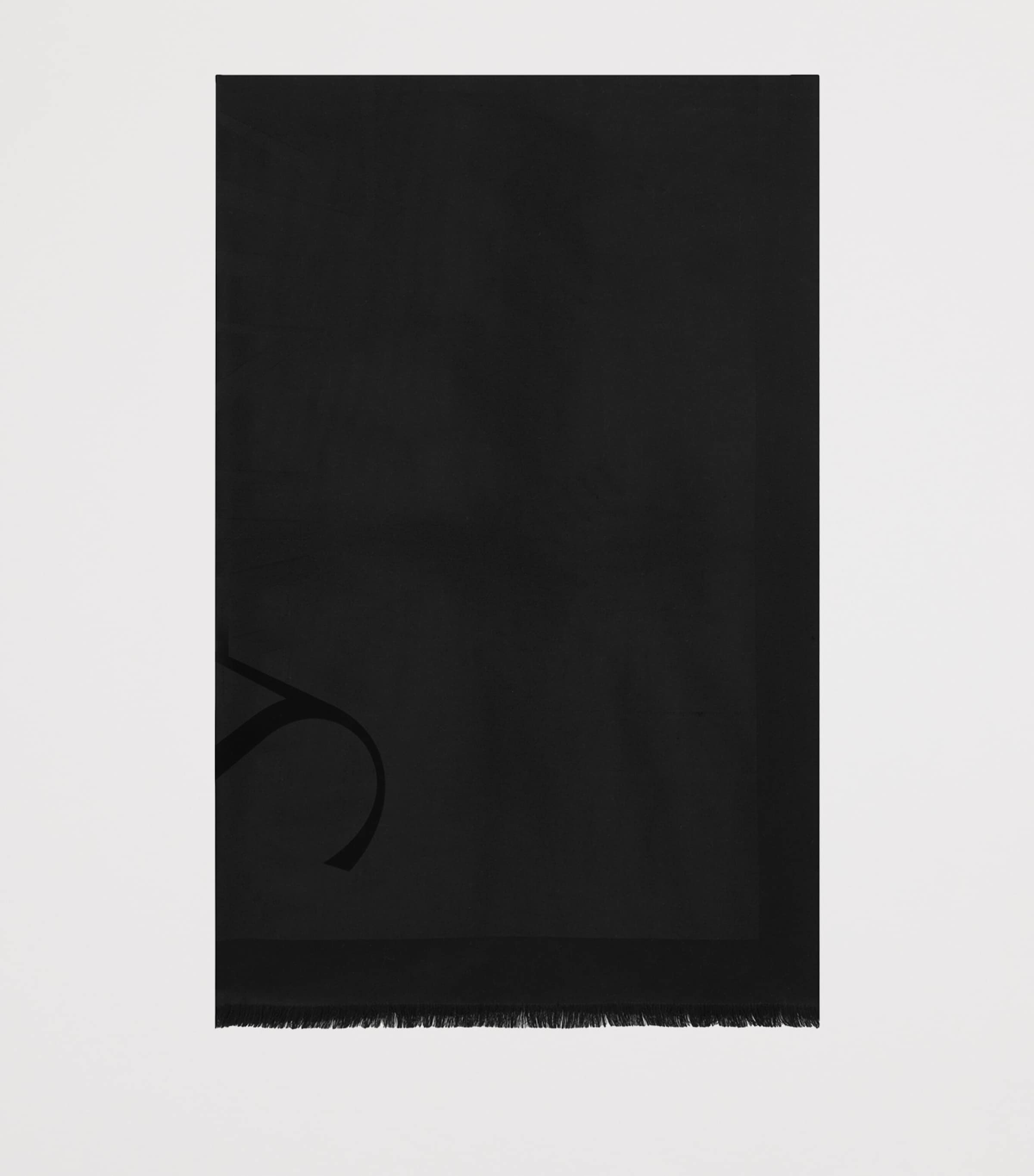 Wool Logo Scarf 1000 Image 2