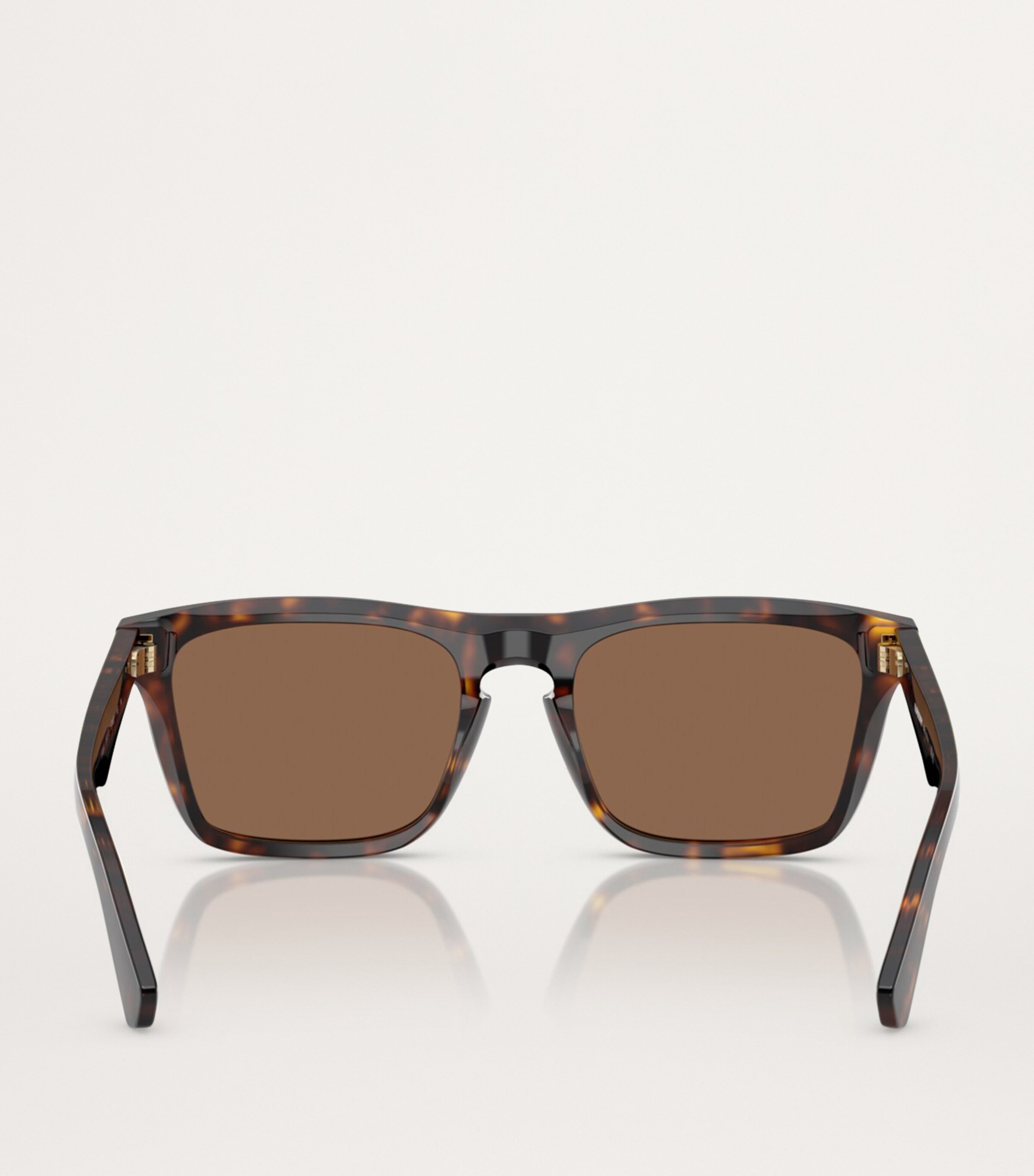 Acetate Wayfarer Sunglasses 300273 Image 4