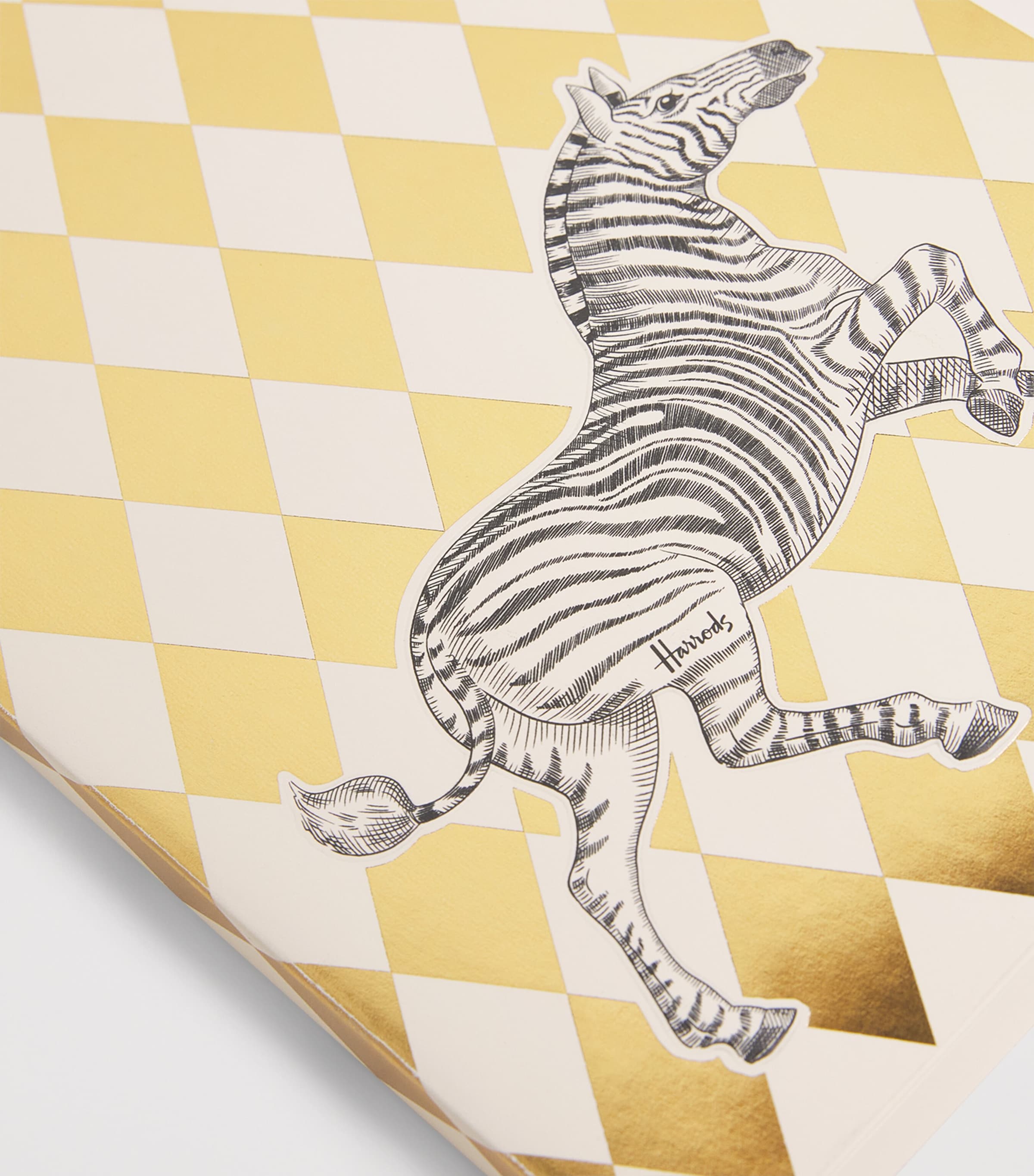 Zebra Notebook MULTI Image 3