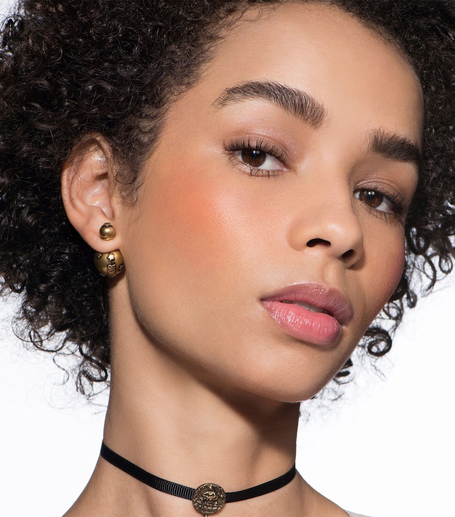 Dior Rouge Blush SATIN 643 STAND OUT Image 2