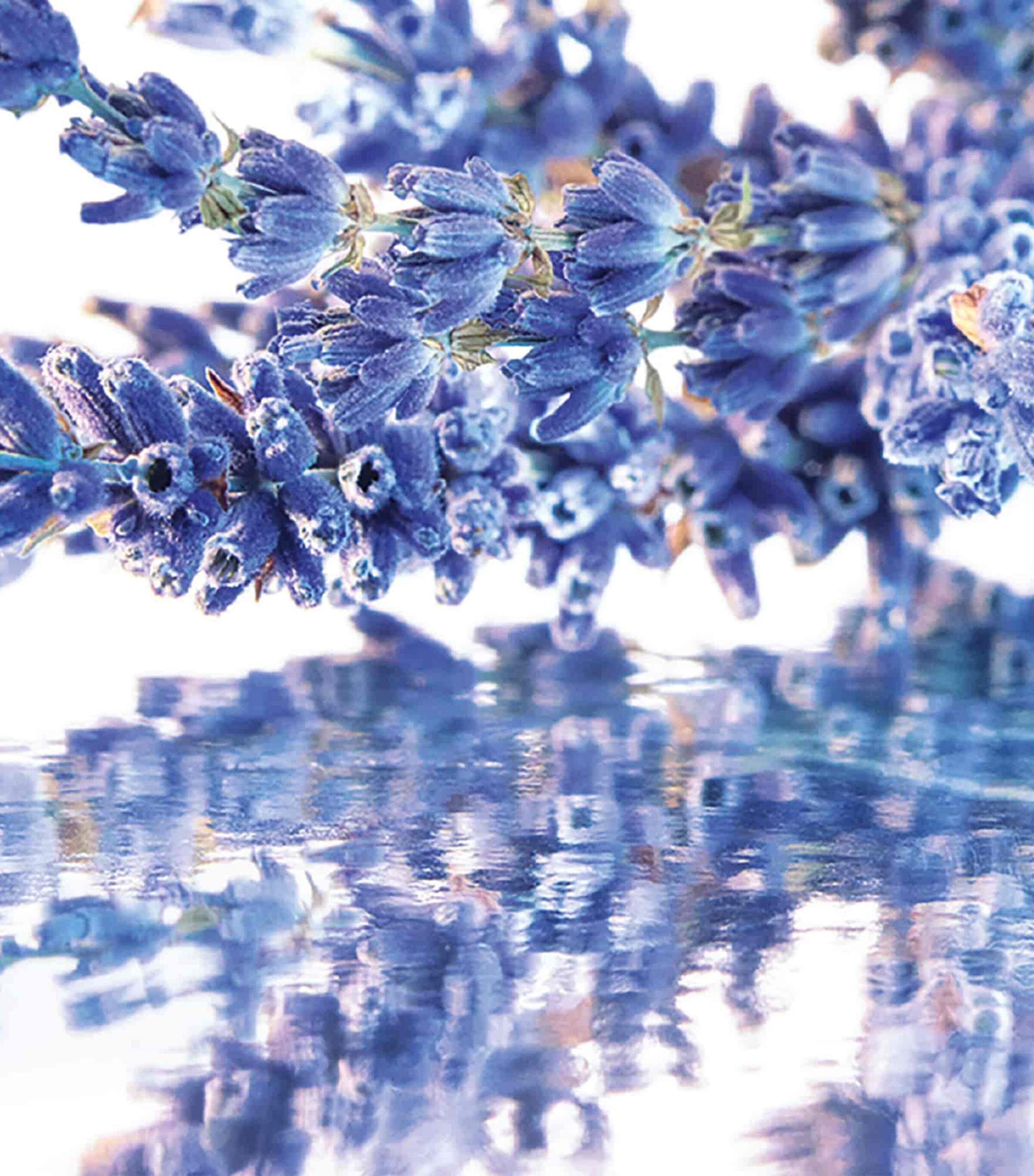 Mon Guerlain Eau de Parfum Gift Set NO COLOUR Image 4