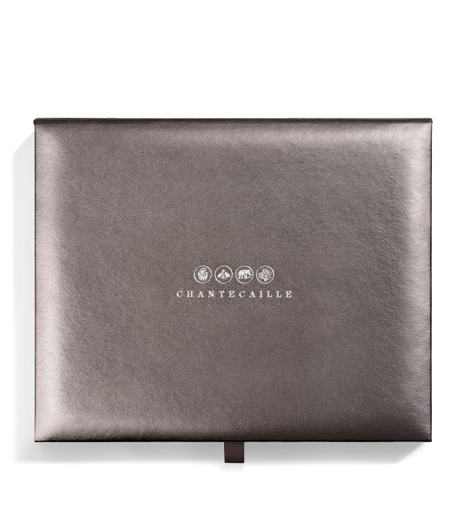 Luminescent Eye Shade Collection NO COLOUR Image 2