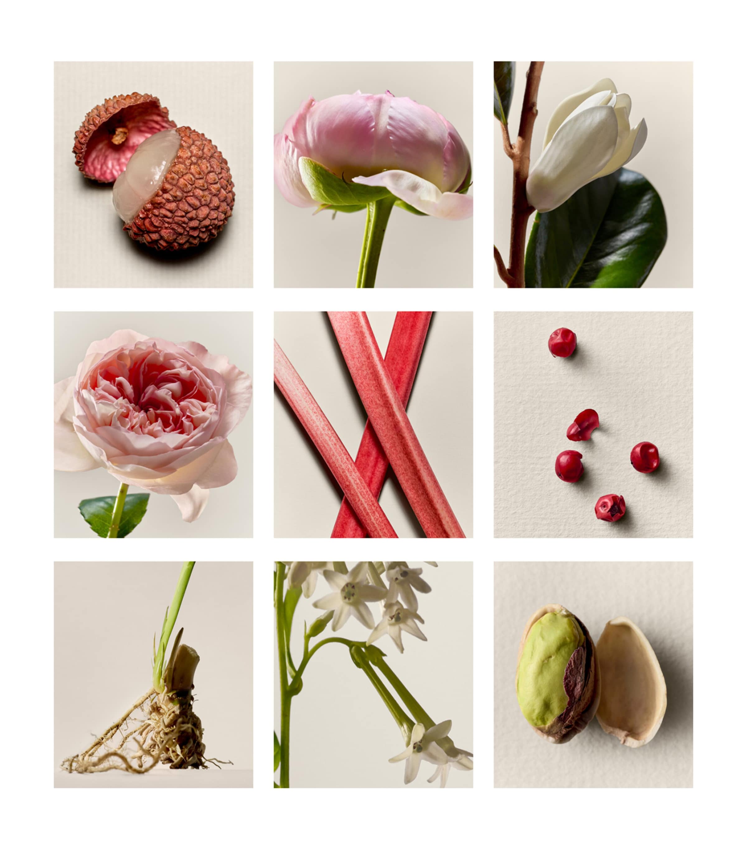 Proem Eau de Parfum (50ml) NO COLOUR Image 2